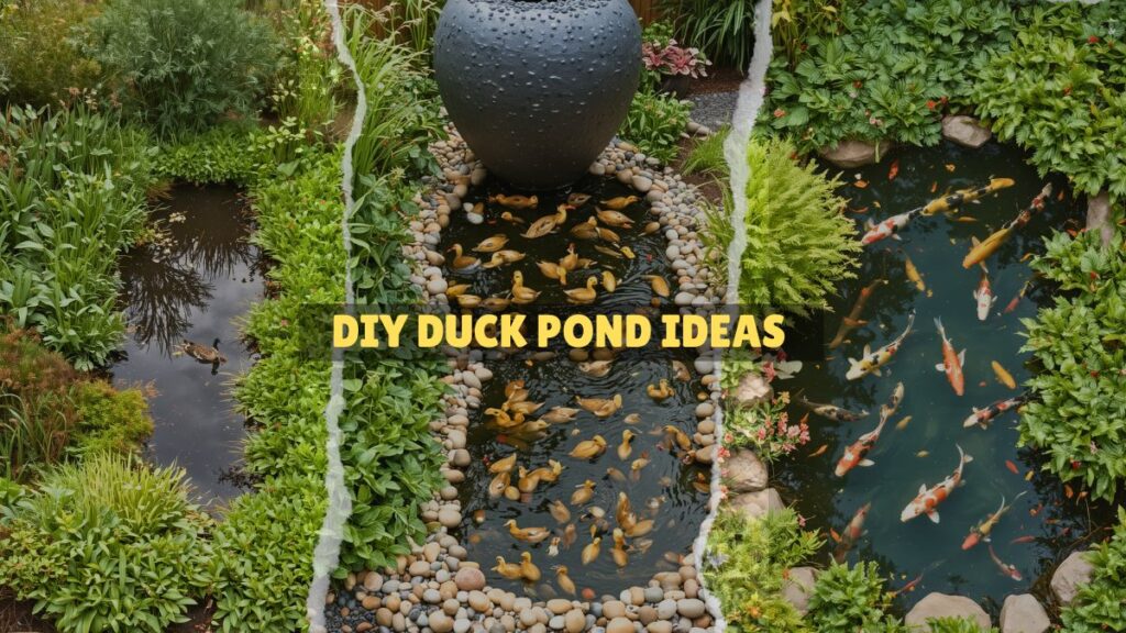 DIY Duck Pond